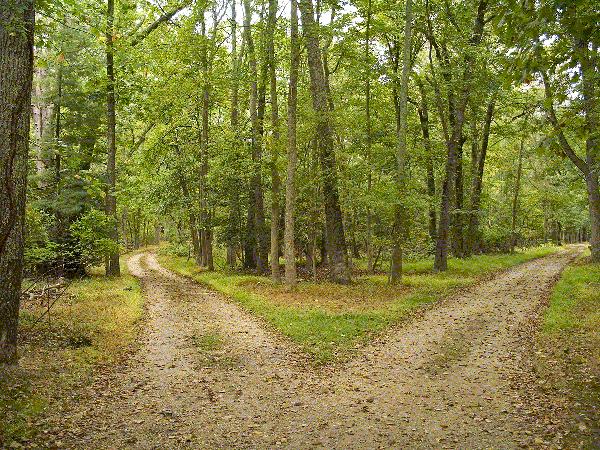 2roads.jpg